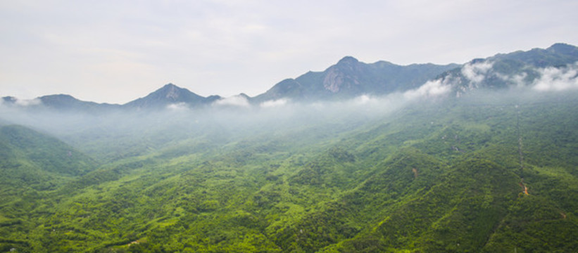 青山