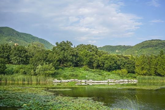 北京植物園