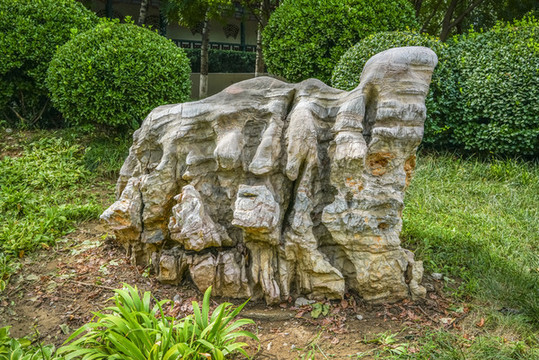 公園假山高清大圖