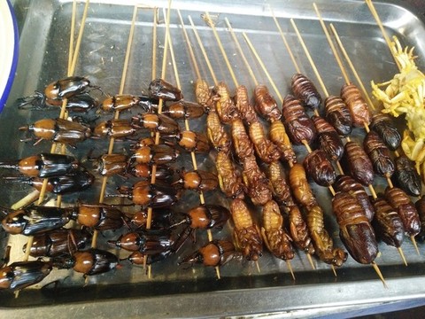 炸昆蟲