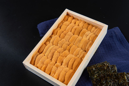 日本海膽