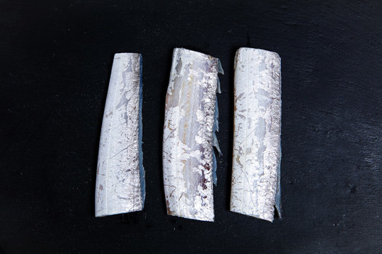 帶魚(yú)段