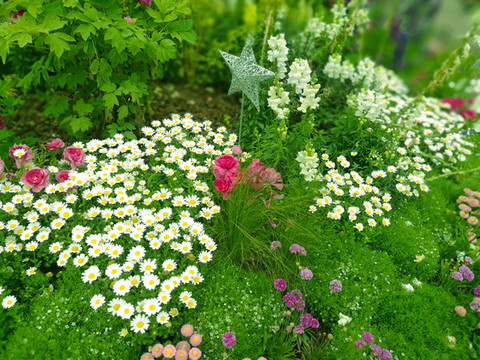 花草園藝