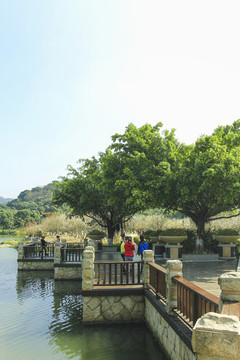 廣州香雪公園一角