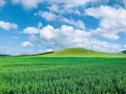 草原風(fēng)光美景