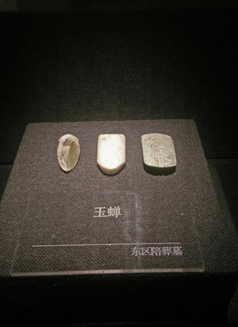 玉蟬