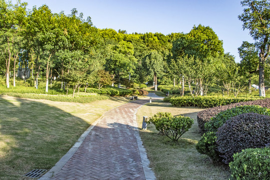 公園綠化