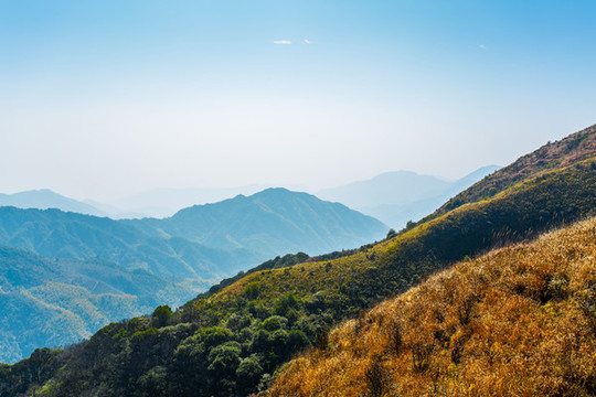 觀音崠頂峰