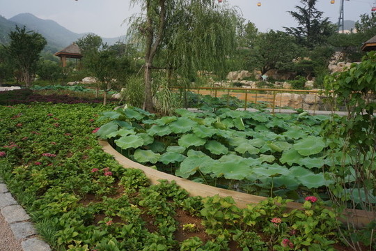 園林