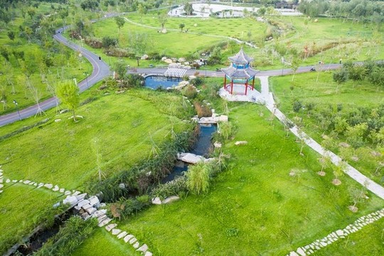 青州森林公園