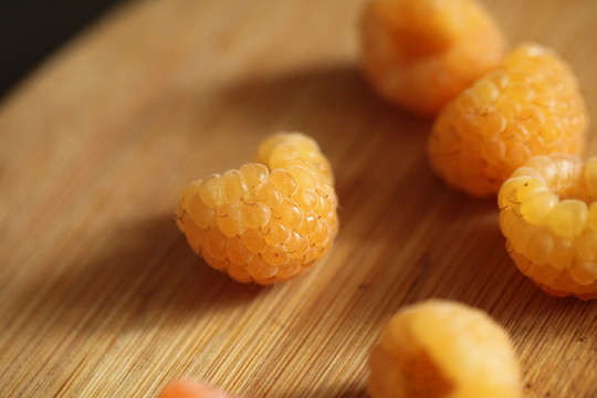 三月泡黃樹莓