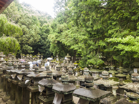 日式庭院本春日大社禪寺廟神道燈
