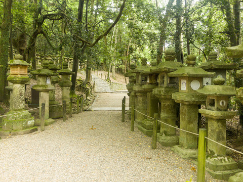 日式庭院本春日大社禪寺廟神道燈