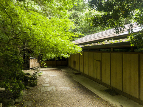 日式庭院本春日大社禪寺廟神道燈
