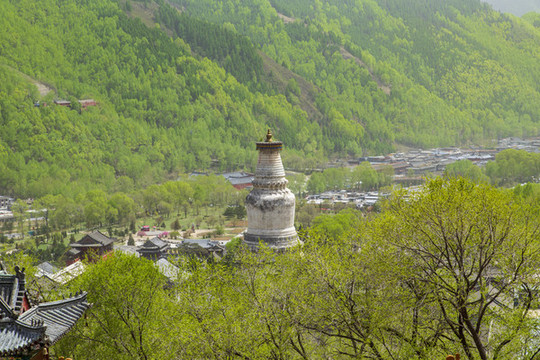忻州五臺山全景
