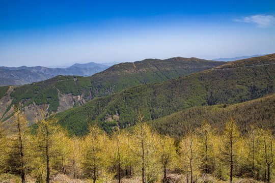 忻州五臺(tái)山北臺(tái)風(fēng)光