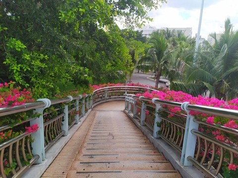 天橋階梯