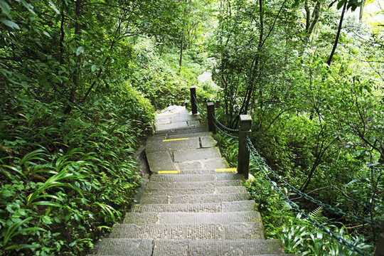 林間小路
