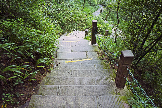 林間小路