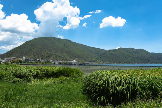 洱海