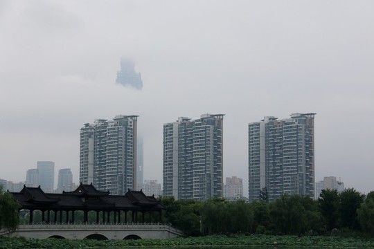 沙湖公園風(fēng)景