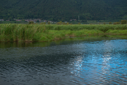 北海濕地公園