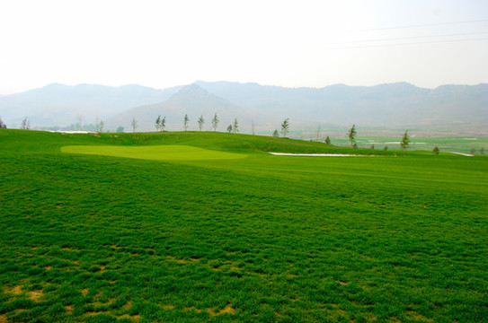 高爾夫場(chǎng)地