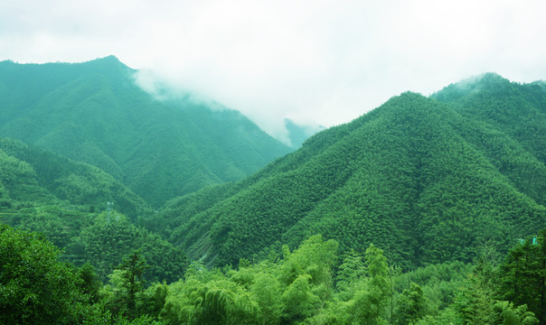 青山