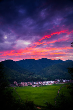 山村紅霞