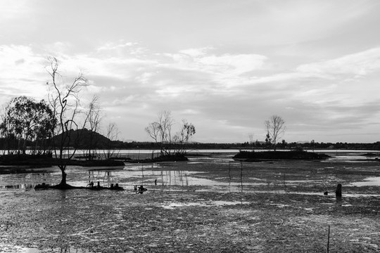 風(fēng)景如畫(huà)