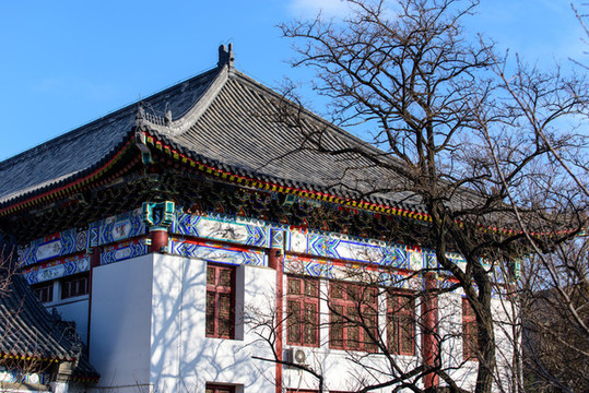 北京大學賽克勒考古與藝術博物館