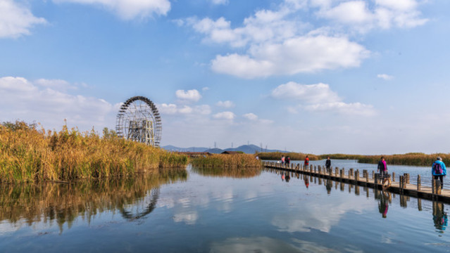 蘇州太湖濱湖濕地公園