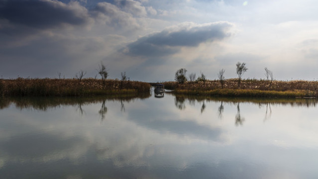 蘇州太湖濱湖濕地公園