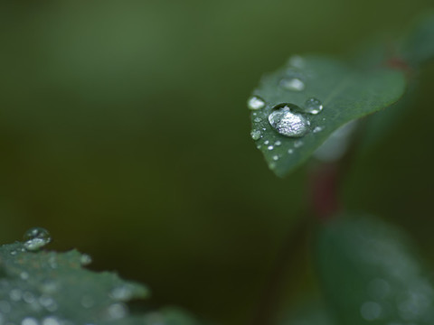 雨水