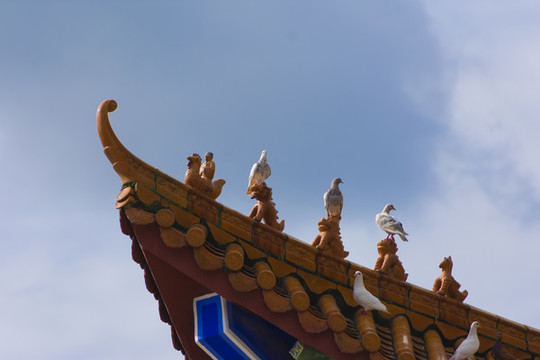 飛檐