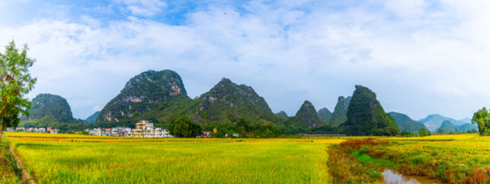英西走廊的稻田高清大畫(huà)幅全景圖