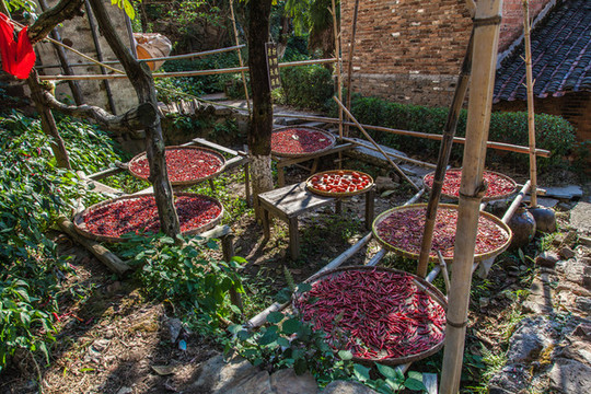 農(nóng)家樂小院