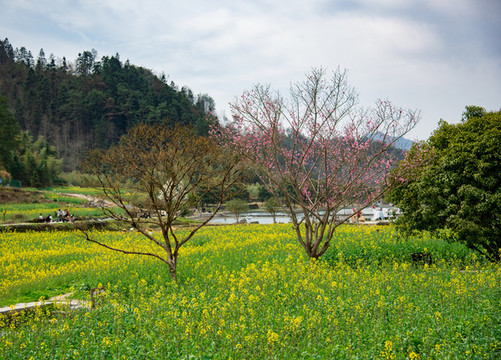 皖南山區(qū)