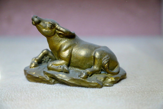金牛