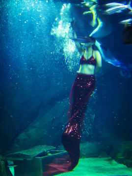 水中的美人魚(yú)
