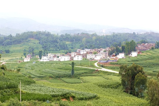 美麗小山村