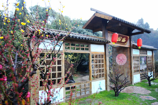揚(yáng)州瘦西湖梅園
