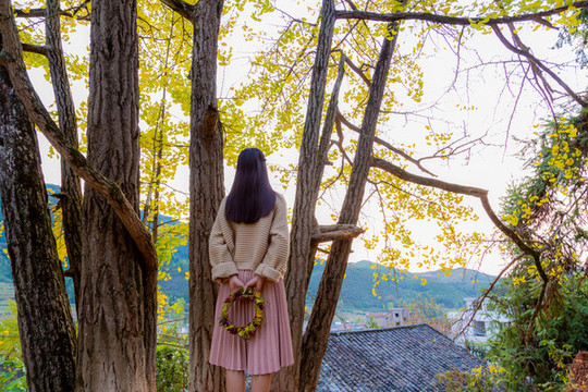 銀杏樹下的女孩