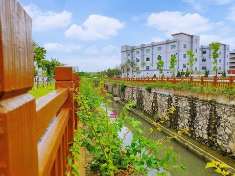 河道整治