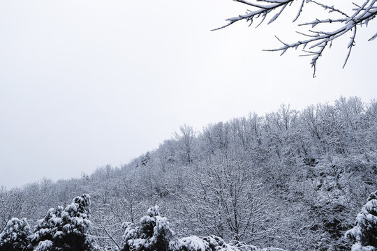 山嶺雪景