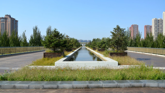 渾南區(qū)中央公園