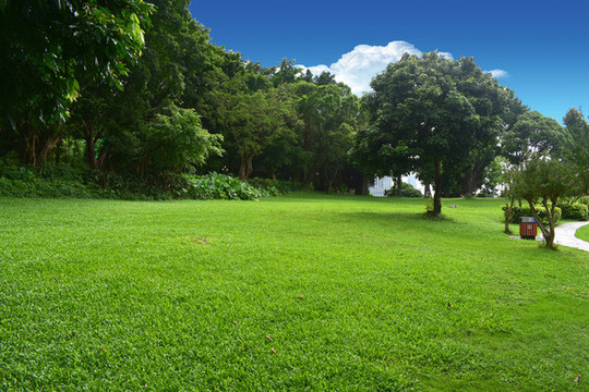深圳中山公園