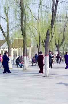 太原市公園里打太極拳的人們