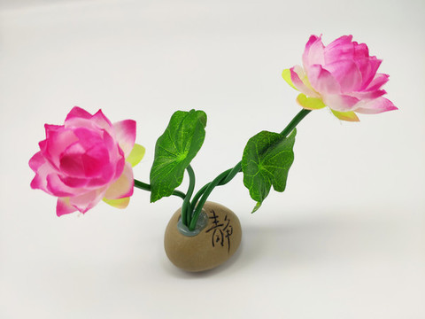 荷花