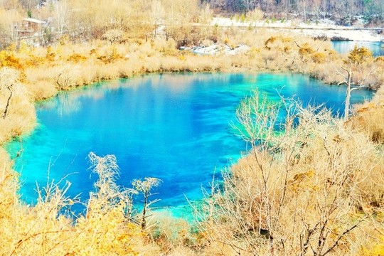 夢(mèng)幻秋色